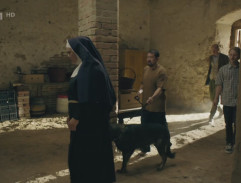 Pátrání ve sklepě