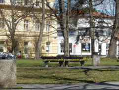 V parku