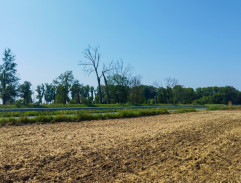 Kolem vodního kanálu