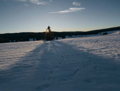 Cestou do ozdravovny