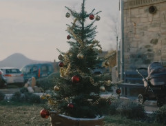 Vánoční stromeček