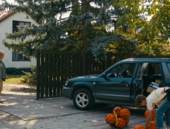 Dům kapitánky Fabiánové