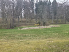 Černý kočár