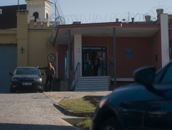 Propuštění Ivana Malovického