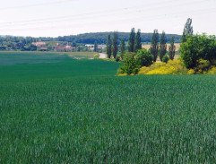 Za vesnicí