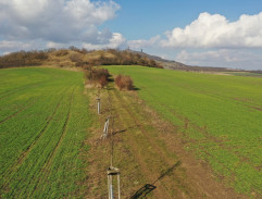 S02E07 Svatba plná překážek