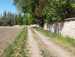 Zahradní zeď