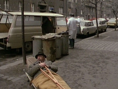 Havlík na nosítkách na ulici