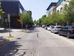 Vánoční oslavy