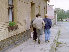 Ve vsi