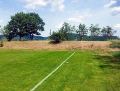 Rozhodčí