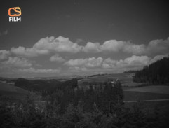 Letní krajina