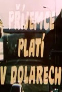 Příjemce platí v dolarech