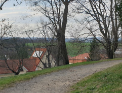 2. Volavka