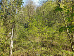 skalný kopec