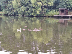 Setkání v červenci