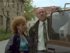 Na dvoře je kůň, šéfe!