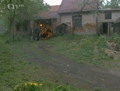 Na dvoře je kůň, šéfe!