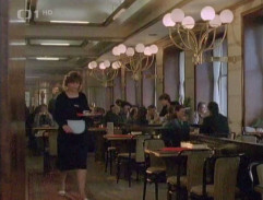 Na dvoře je kůň, šéfe!