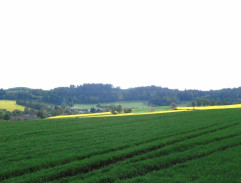 žatva