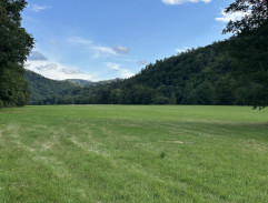 Smrt krásných srnců