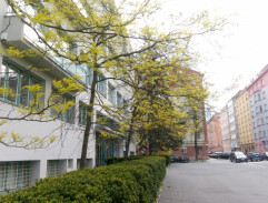 Kam doskáče ranní ptáče