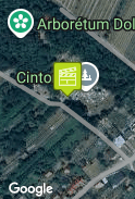 cintorín